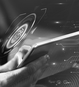 Globa Consulting Services Oracle